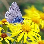 La Petite Source Lägenhet