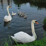 La Petite Source Lägenhet