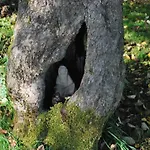 La Petite Source Florenville