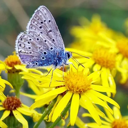 La Petite Source 아파트