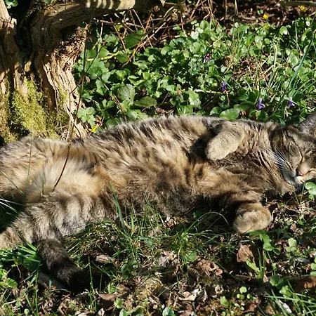 아파트 La Petite Source *