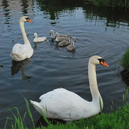 La Petite Source 아파트