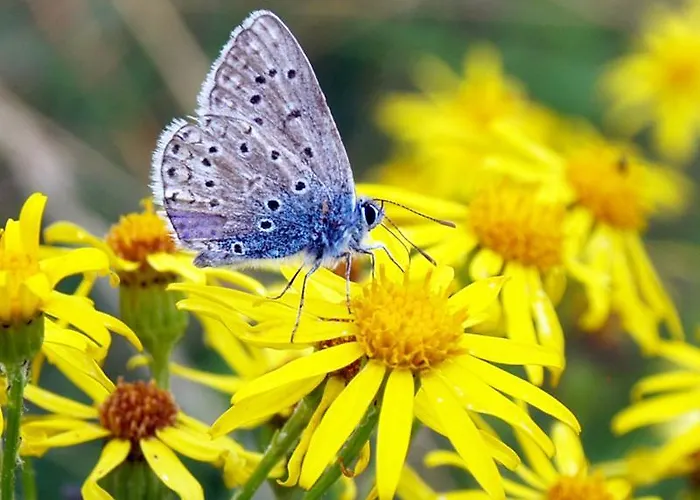 La Petite Source Διαμέρισμα