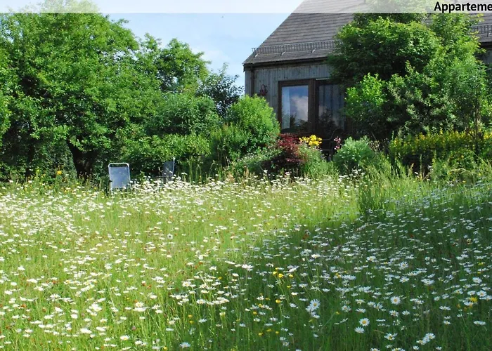 La Petite Source Daire Florenville