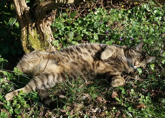 Διαμέρισμα La Petite Source *