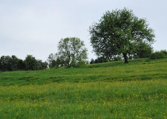 Daire La Petite Source